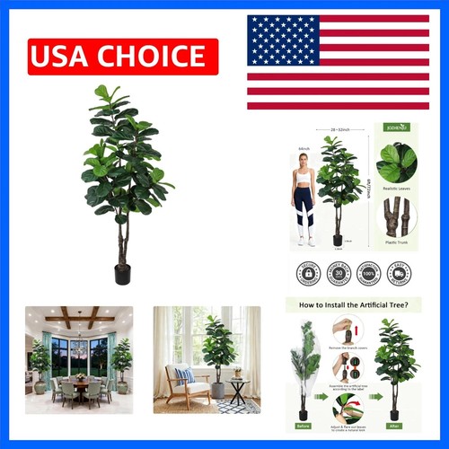 Fiddle leaf fig tree - fig,