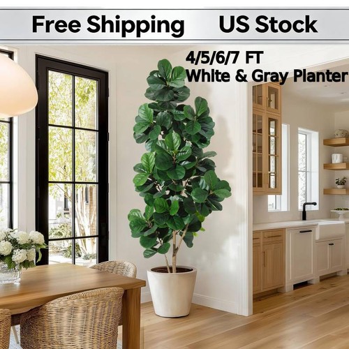 Low maintenance faux fiddle - faux,