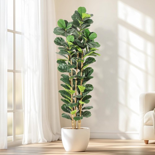6ft artificial fiddle - 6ft, fig